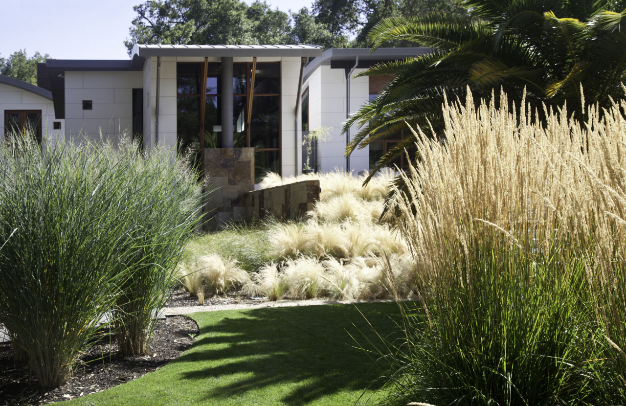 Saratoga Creek House landscaping by WA Design