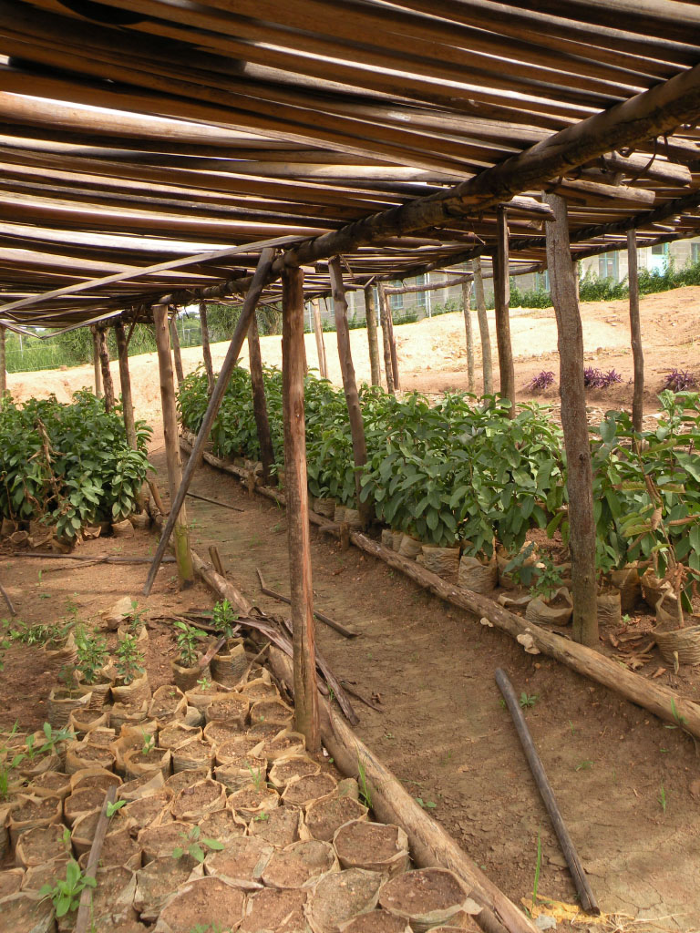 self-sustaining farming at the Gashora Girls Academy in Rwanda